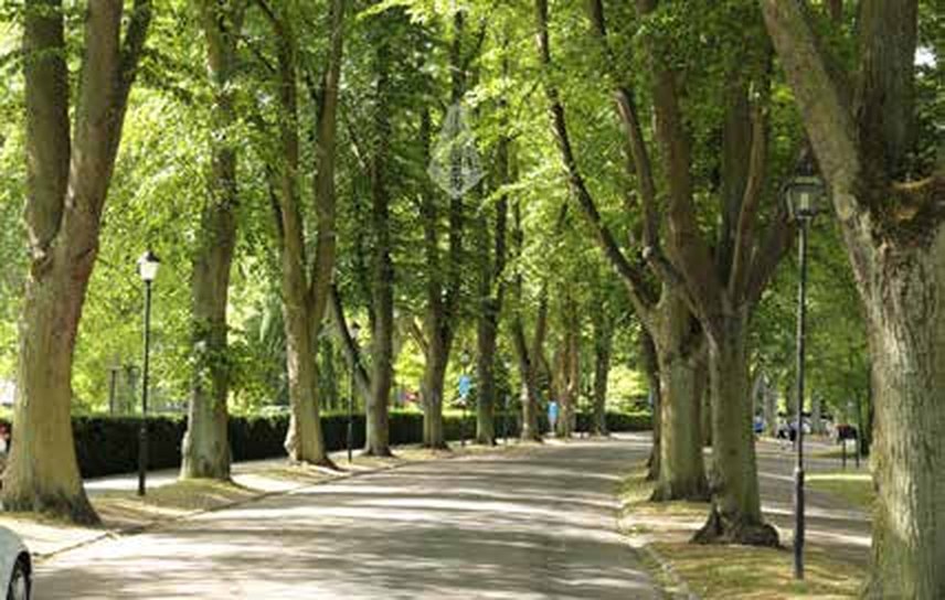 Stop 1: Stadsparken — The Park Promenade, Kalmar, Sweden